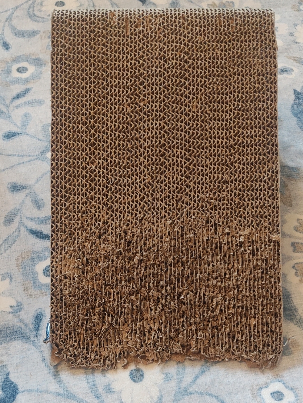 PETS: CAT SCRATCHER SET - Picture 6 of 13